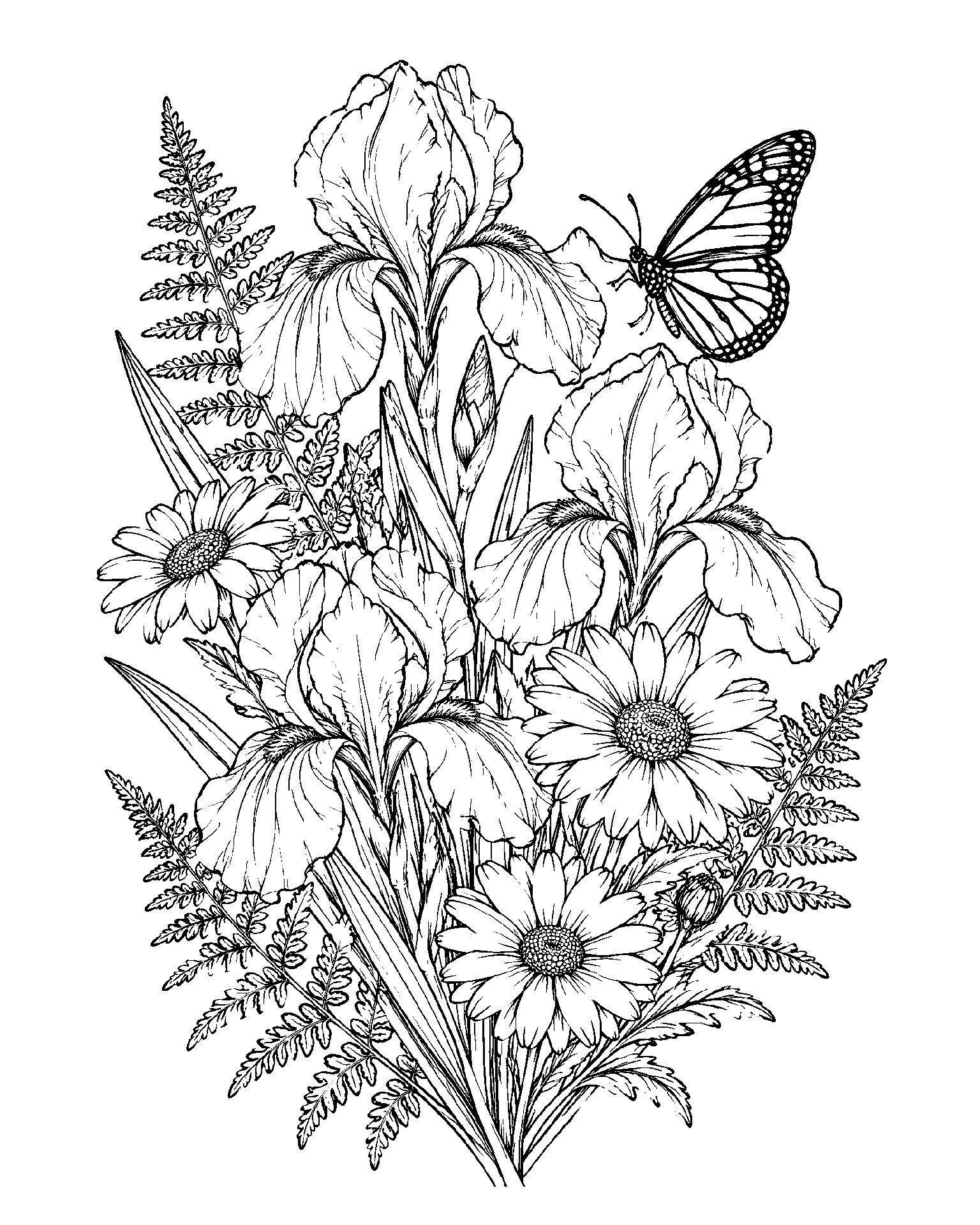 Irises and Monarch Butterfly black-and-white colouring page