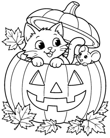 Peekaboo Pumpkin Kitten colouring page preview